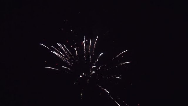 fireworks explode in the dark sky.Festive background with fireworks.sky is lit by bright flashes of lights.