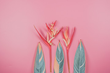 tropical flowers and summer concept from colorful flat lay and web banner design from heliconia...
