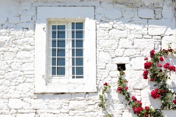 Fototapeta na wymiar window with shutters and red roses