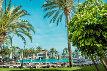 Fototapeta Wakacje na basenie i odpoczynek w cieniu palm obraz