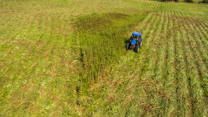 bird eye of tractor mower in operation that cuts the grass in the field of agriculture