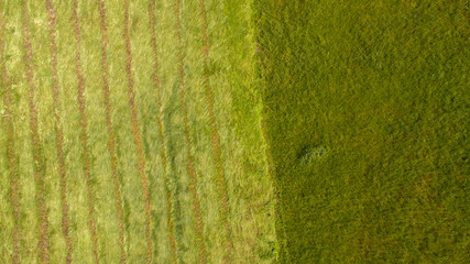 bird eye of tractor mower in operation that cuts the grass in the field of agriculture