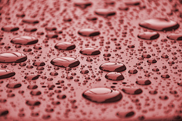Close up water drops on metal surface can be used for web design