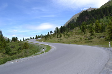Fototapeta premium Mountain road in the Alps against the background of forest, green grass and blue sky.