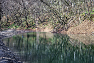 Spring landscape with lake in forest