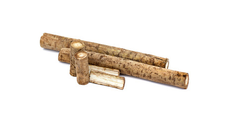 Burdock roots isolated on the white background
