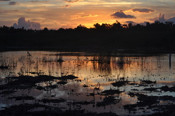 The beautiful natural Wetland Limassol Salt Lake landscape in Cyprus