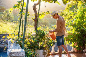 Side view of young stylish man watering plants in garden in sunlight