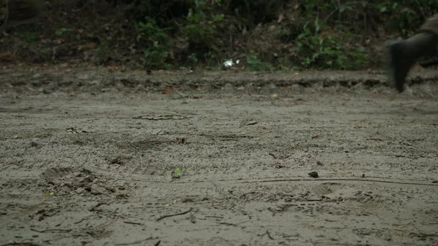 Soldiers run through the forest. Close Up. Partisan Detachment.