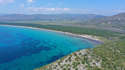 Fototapeta premium Aerial bird's eye view photo taken by drone of tropical seascape and sandy beach with turquoise clear waters and pine trees