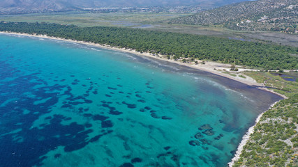 Fototapeta na wymiar Aerial bird's eye view photo taken by drone of tropical seascape and sandy beach with turquoise clear waters and pine trees