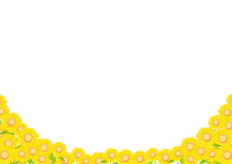 ひまわり畑　背景