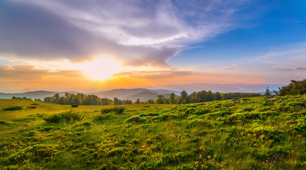 Sunset over green field
