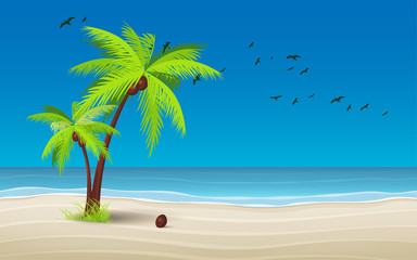 Fototapeta na wymiar landscape of coconut tree and the beach in daytime
