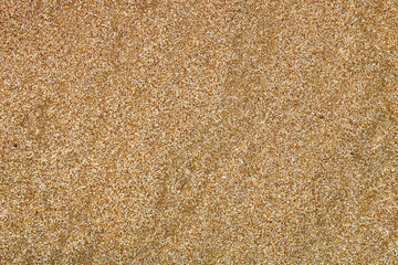 Sand texture.  Abstract background of the sand. 