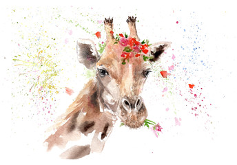 watercolor drawing of an animal - giraffe in flowers © Toshka