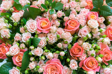 Beautiful fresh red and pink roses. beautiful bouquet of roses