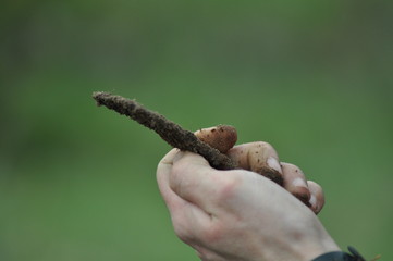 rusty metal objects found in the ground with a metal detector in male hands