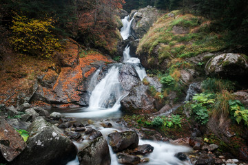 waterfall in the forest