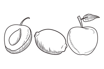 Fresh fruit nutrition healthy black and white hand drawn