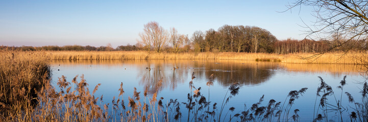 Gewässer mit trockenem Schilf, Rieselfeldern, Münster, Münsterland, Nordrhein-Westfalen, Deutschland, Europa
