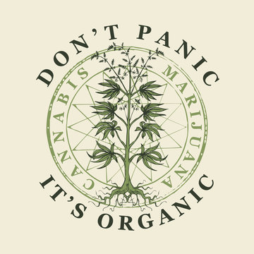 Vector banner for legalize marijuana with words Do not panic, it is organic. Illustration with hand-drawn cannabis plant. Hemp, Cannabis or marijuana, medicinal plant. Smoking weed.