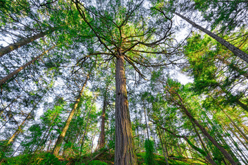 Beautiful scenics of landscapes waterscapes sunsets and lake reflections in Canada's pacific north west around Vancouver British Columbia Canada.  Fine art photography for home and office decor.