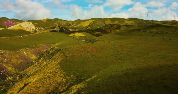 Massive Super Bloom Temblor Range Aerial