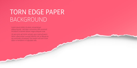 Torn edge paper coral rose background. Page or card vector template.