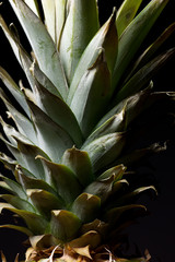 Obraz premium Pineapple close up