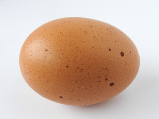 A raw brown egg isolated on white background. Egg are a common ingredient in cooking.  Egg protein is a protein that can be absorbed efficiently. Food concept.