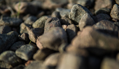 Rocks and stones in the spring time, depth of field, 