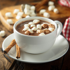 Homemade hot chocolate with marshmallow