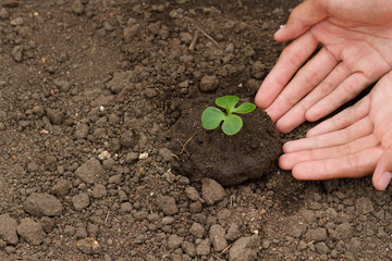 Hand of young man planting the small tree into the soil, The solution of environment pollution and Sustainable development concept