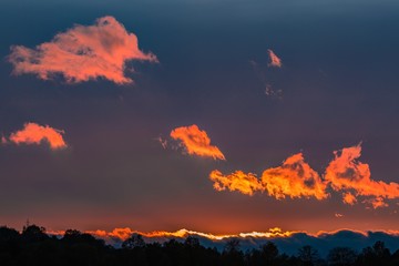 Dramatic dark blue sky with pink, orange, red and golden clouds during colorful spring sunset. Silhouettes of trees on horizon. Twilight in rural countryside.