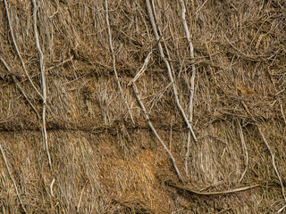 Thatch. Beautiful old straw roof