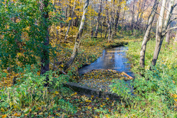 Small river in the autumn park