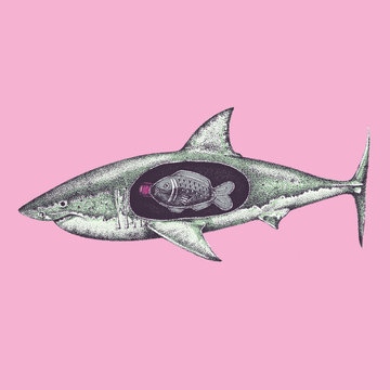 Illustration of shark with plastic soy sauce fish bottle in stomach