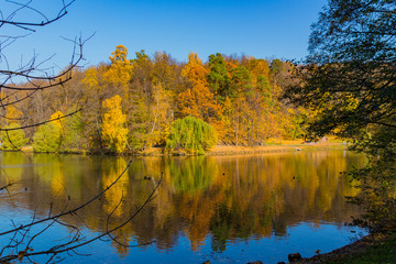 Scenic view to the autumn park and pond