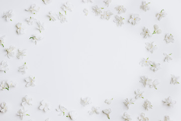 Spring flowers. White lilac flowers