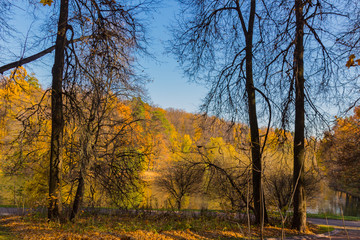 Scenic view to the autumn park, golden autumn