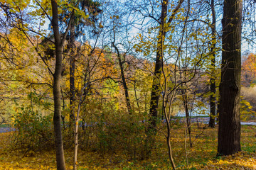 Scenic view to the autumn park, golden autumn