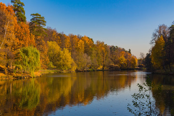 Fototapeta na wymiar Scenic view to the autumn park and pond