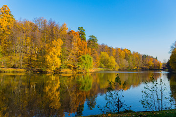 Scenic view to the autumn park and pond