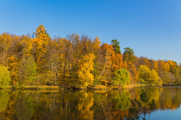 Scenic view to the autumn park and pond