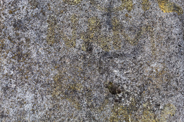 Old Weathered Concrete Wall Texture