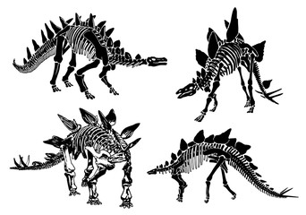Obraz na płótnie Canvas Graphical set of stegosaurus skeletons isolated on white ,vector illustration,tattoo.