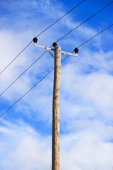 Old electricity pole