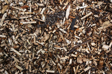A dried herbal organic chive seasoning up close