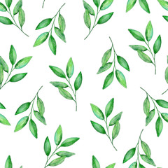 watercolor seamless pattern green lemon branches